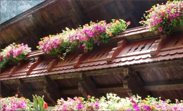 Hinterankerwald Apartment Валхзее Екстериор снимка